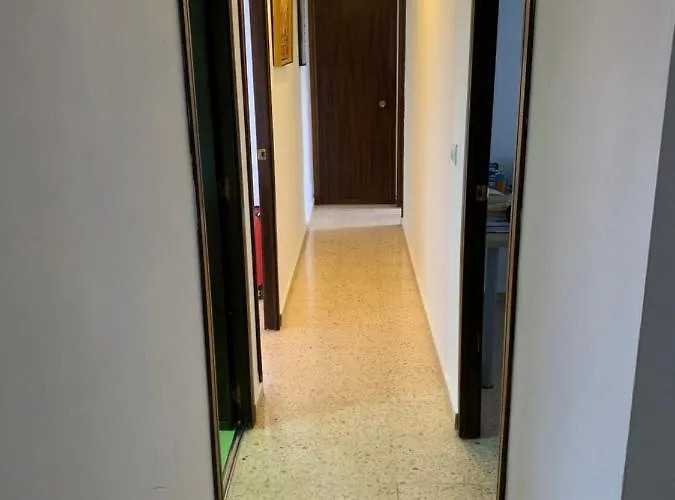Con Cama Individual, Piso Compartido En Avenida Blasco Ibanez